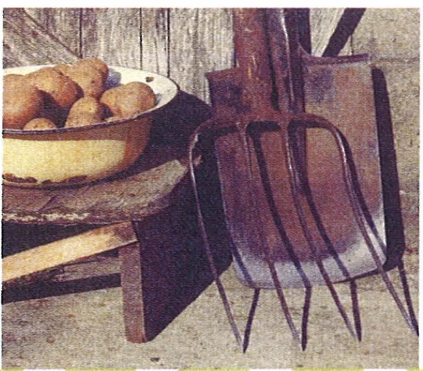 Schüssel mit Kartoffeln auf einem Holzschemel neben einer Grabgabel und einem Spaten
